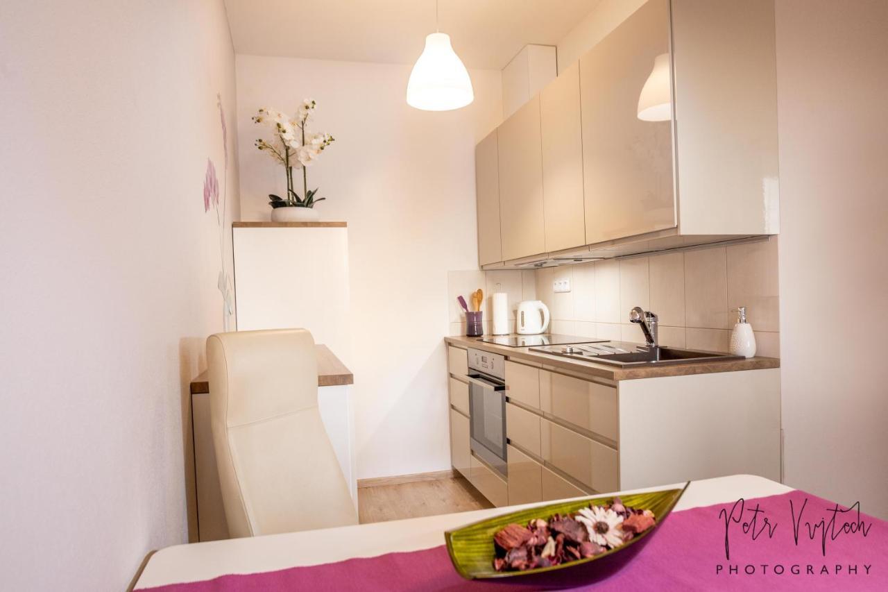 Luxurious, Lovely And Romantic Apartment In Tábor Exteriér fotografie